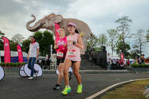 BIB: 
                            <button type="button" onclick="openModal(26528584)" class="btn btn-primary btn-sm float-right btn-popup" data-toggle="modal" data-target=".modal-high-quality">
                        <i class="fas fa-shopping-cart"></i> Add to Cart
                    </button>
                                            <button type="button" onclick="isThisMe(26528584, true)" class="btn btn-success btn-sm float-right btn-popup btn-isme hidden" data-toggle="tooltip" data-placement="bottom" title="นี่คือรูปของคุณใช่ไหม คลิกที่นี่เพื่อเอาเข้าอัลบั้ม">
                        <i class="fas fa-plus"></i> Add to album
                    </button>
                    <button type="button" onclick="isThisMe(26528584, false)" class="btn btn-warning btn-sm float-right btn-popup btn-isnotme hidden">
                        <i class="fas fa-ban"></i> Remove from album
                    </button>